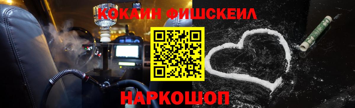 COCAIN Fish Scale  COCAIN Fish Scale  Вход с VPN  Мурино 