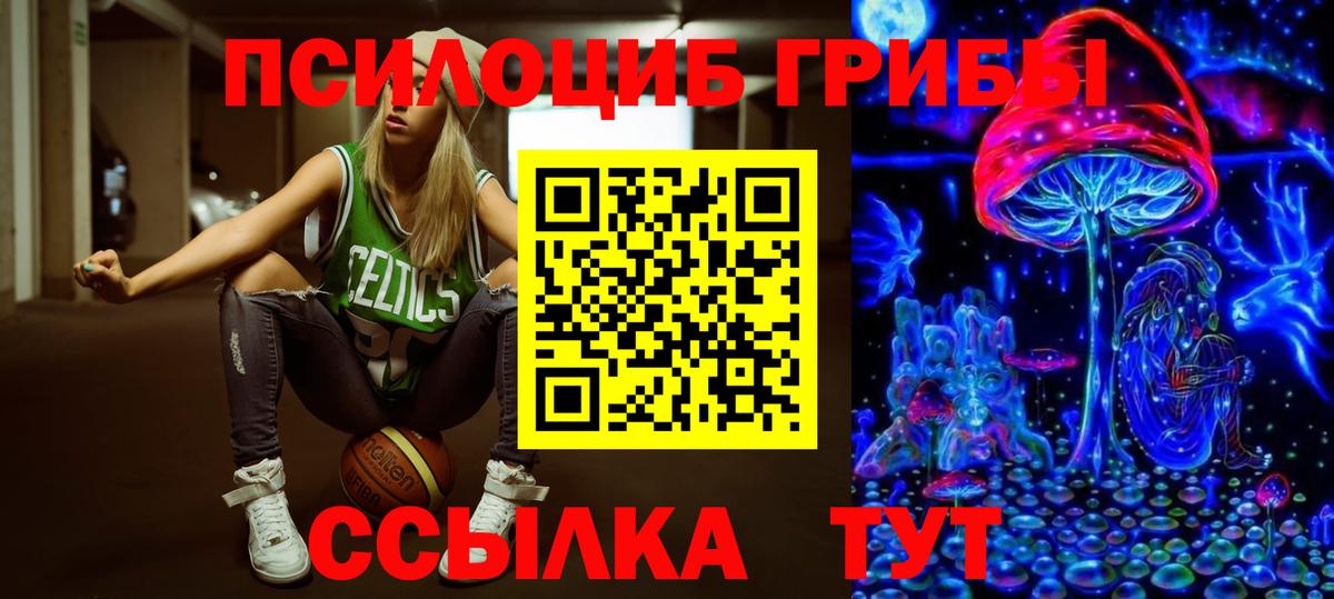 Галлюциногенные грибы Cubensis  Вход с VPN  закладки  Мурино 